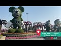 Dubai miracle garden  qidz  kids activities in dubai  outdoors