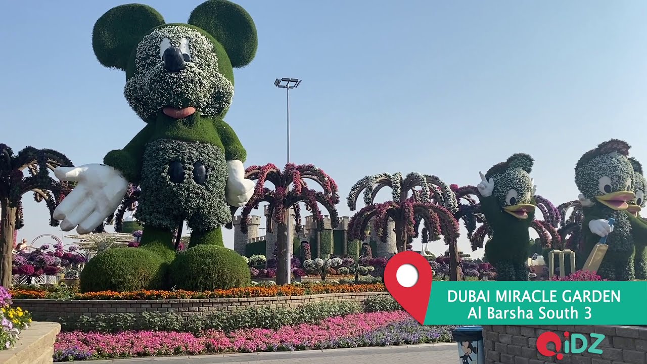 Dubai Miracle Garden | QiDZ | Kids Activities in Dubai | Outdoors