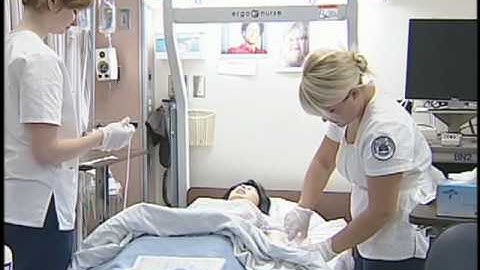 Collaborative Learning Case Study:  Himes (Short Version)