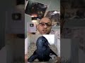 صقر صغير قلب أسد  mp3
