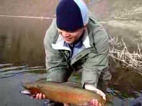 lake dusty fishing