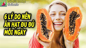 6 Lợi ích tuyệt vời của hạt đu đủ đối với sức khỏe không phải ai cũng biết