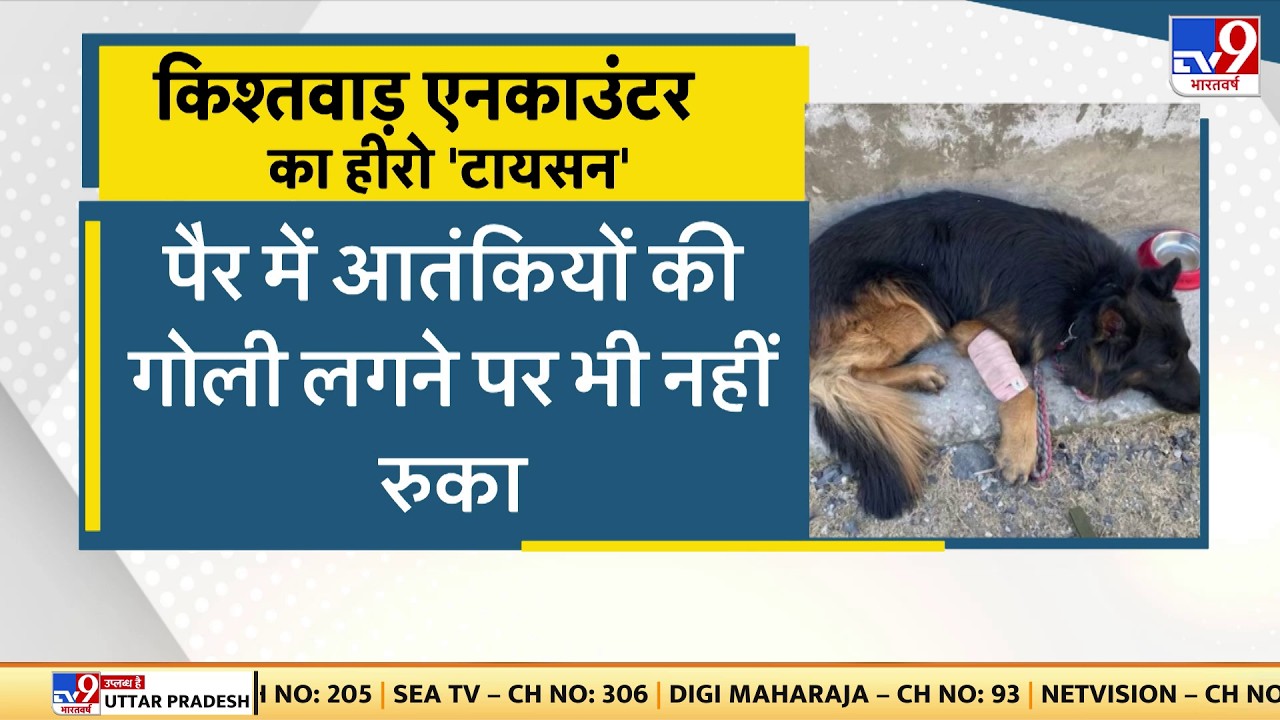 Kishtwar Encounter Update: किश्तवाड़ एनकाउंटर का हीरो टायसन पैर में आतंकियों की गोली लगने पर...TV9