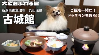 【犬と泊まれる宿】古城館・丸山温泉・新潟県
