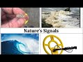Metal Detectorist Tips Beach Metal Detecting: Choosing The Right Time; Reading Natures Signals