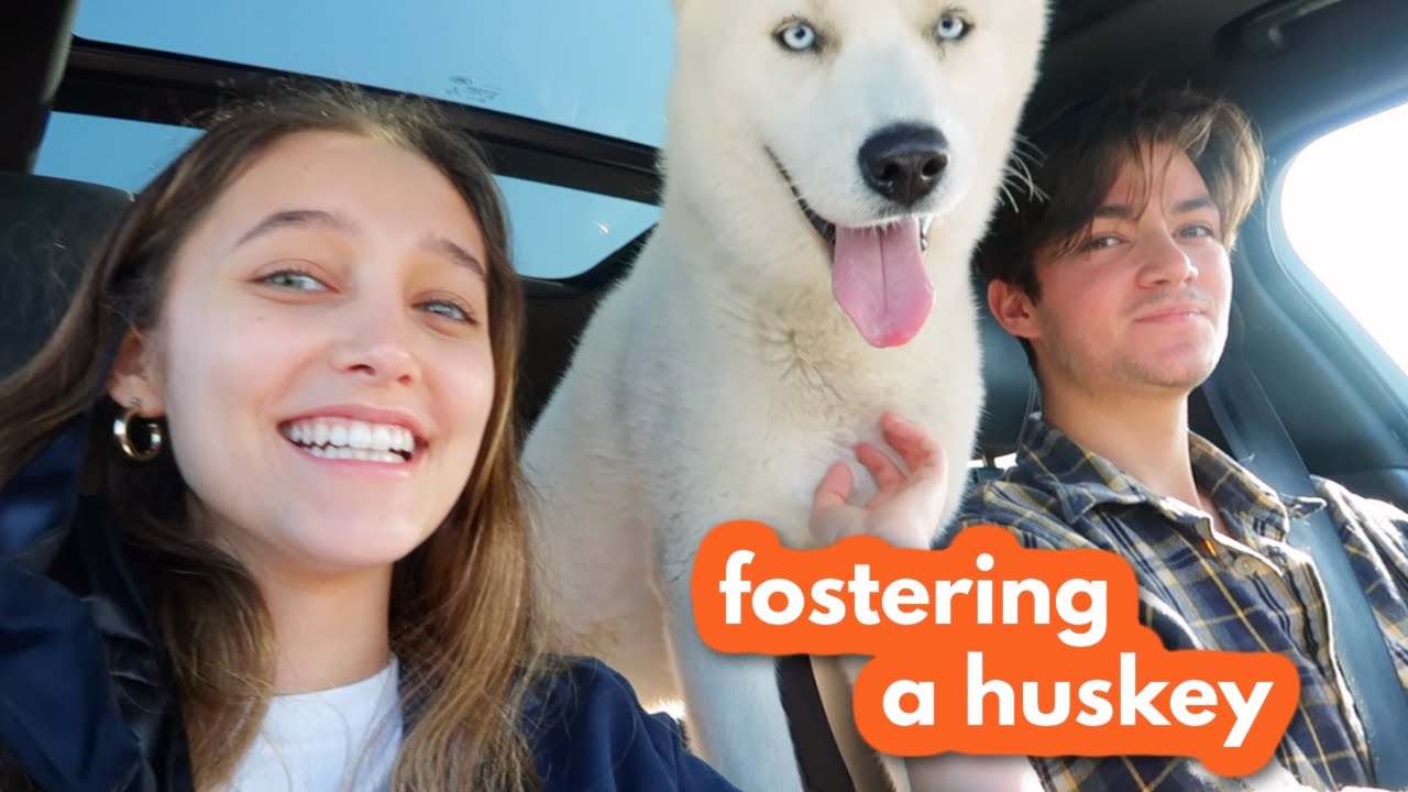 we rescued a dog from the kill shelter on his last day!!!