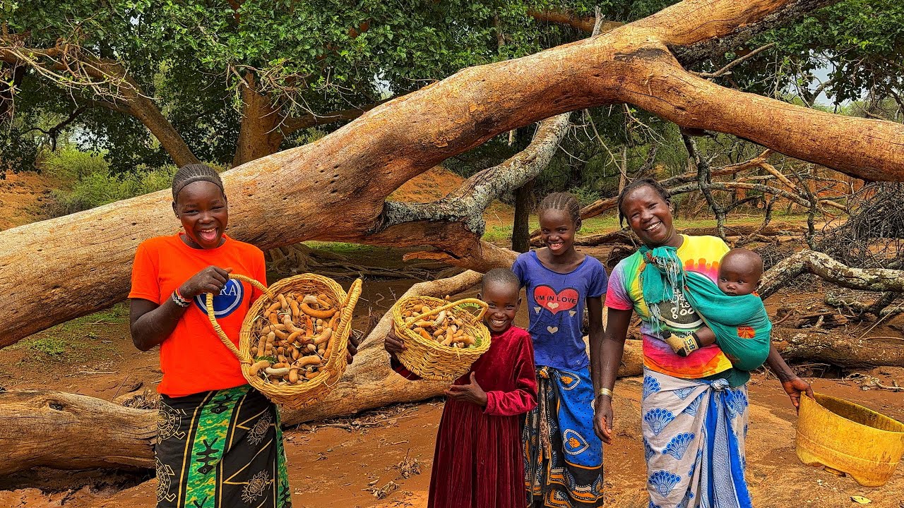 Why Locals NEVER Climb This Tree/Harvesting  Tamarind From  Africa,s Deadliest Tree in the Village