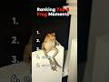 Ranking Top 5 Frog Moments that will make you laugh #frog #ranking #shorts #funny