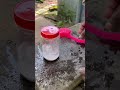 അരെ വാ..സുബാഷ് സുബാഷ് 😋😋😋👌 DAY 67