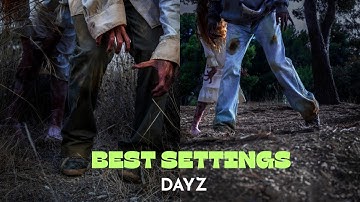 Best Graphic Settings for DAYZ!!! (2025)