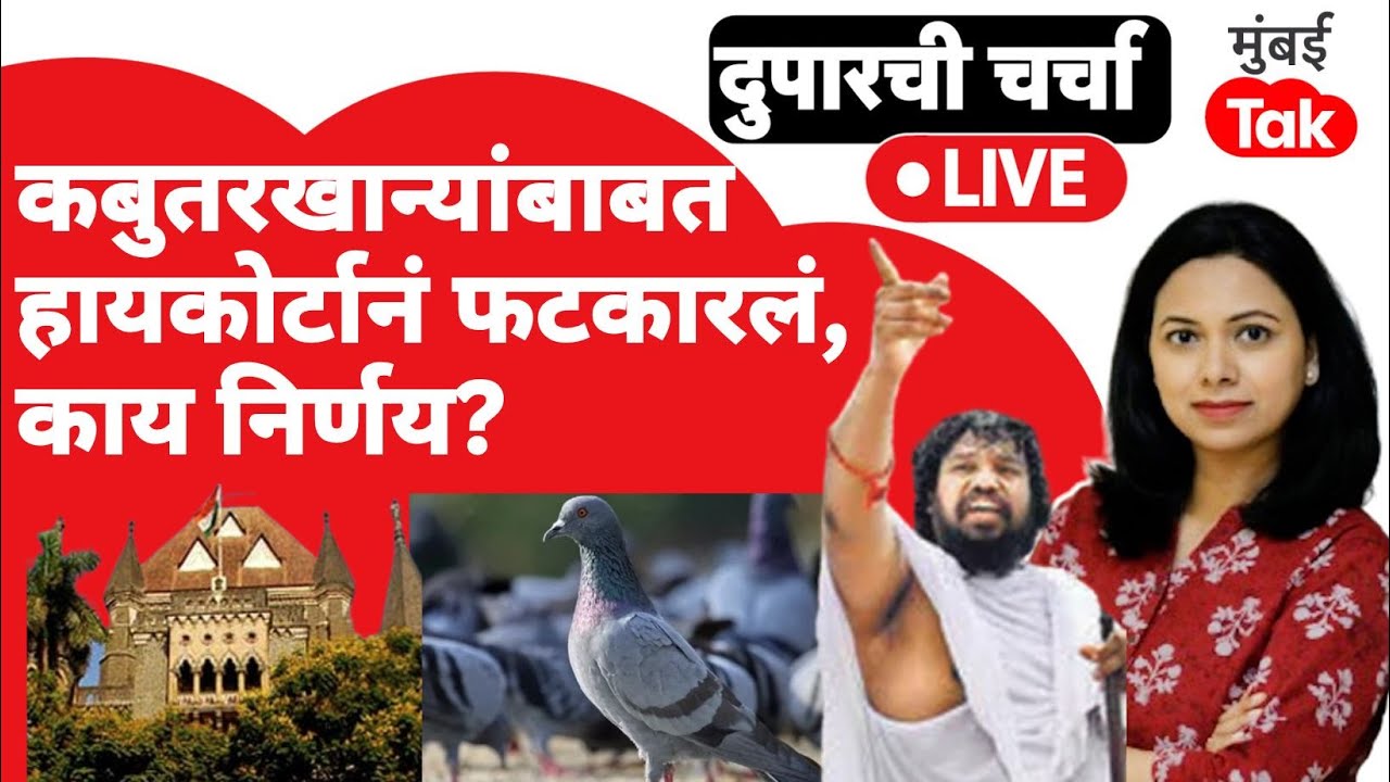 Live: Bombay High Court मध्ये कबुतरखान्यांवरुन जोरदार युक्तीवाद, मोठा निर्णय