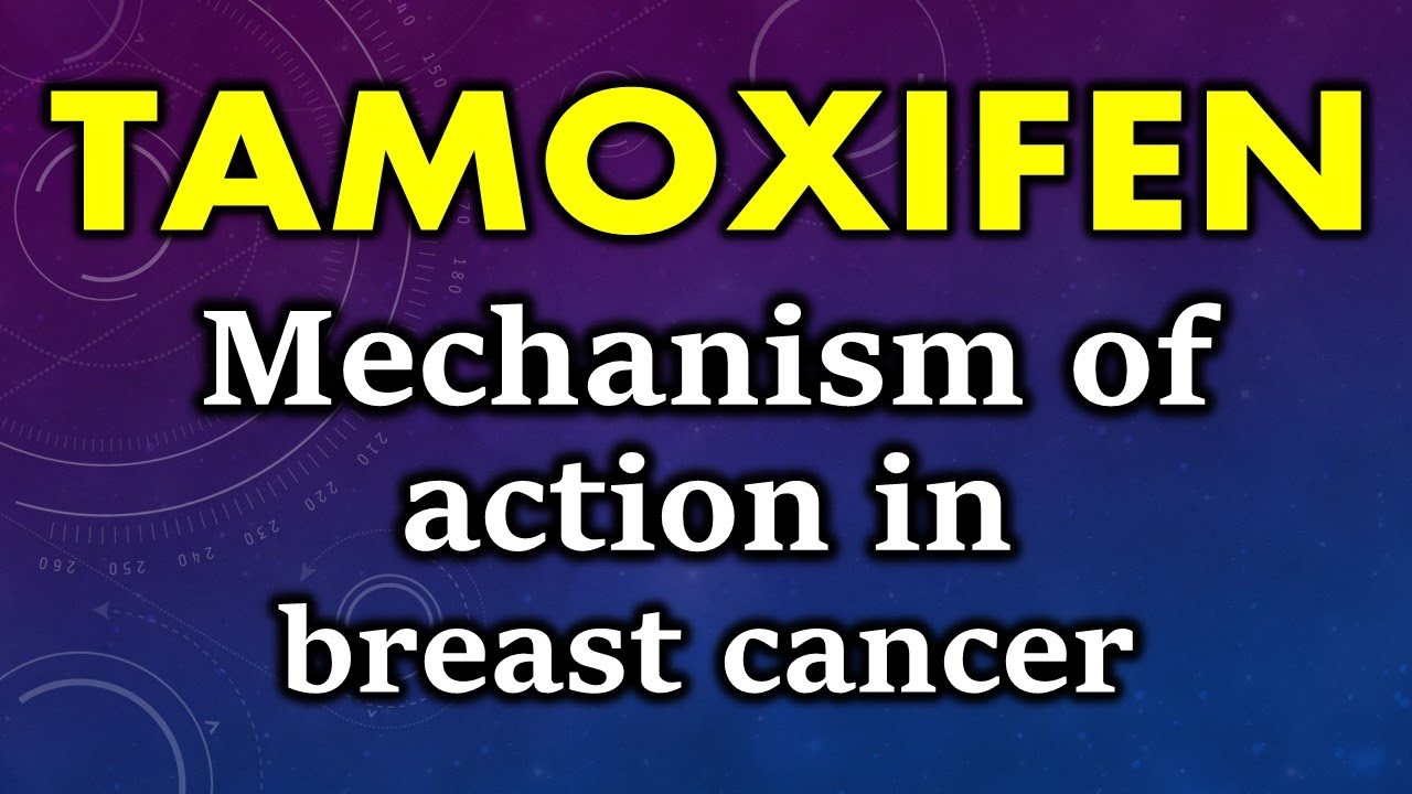 Tamoxifen mechanism of action in breast cancer | how does tamoxifen ...