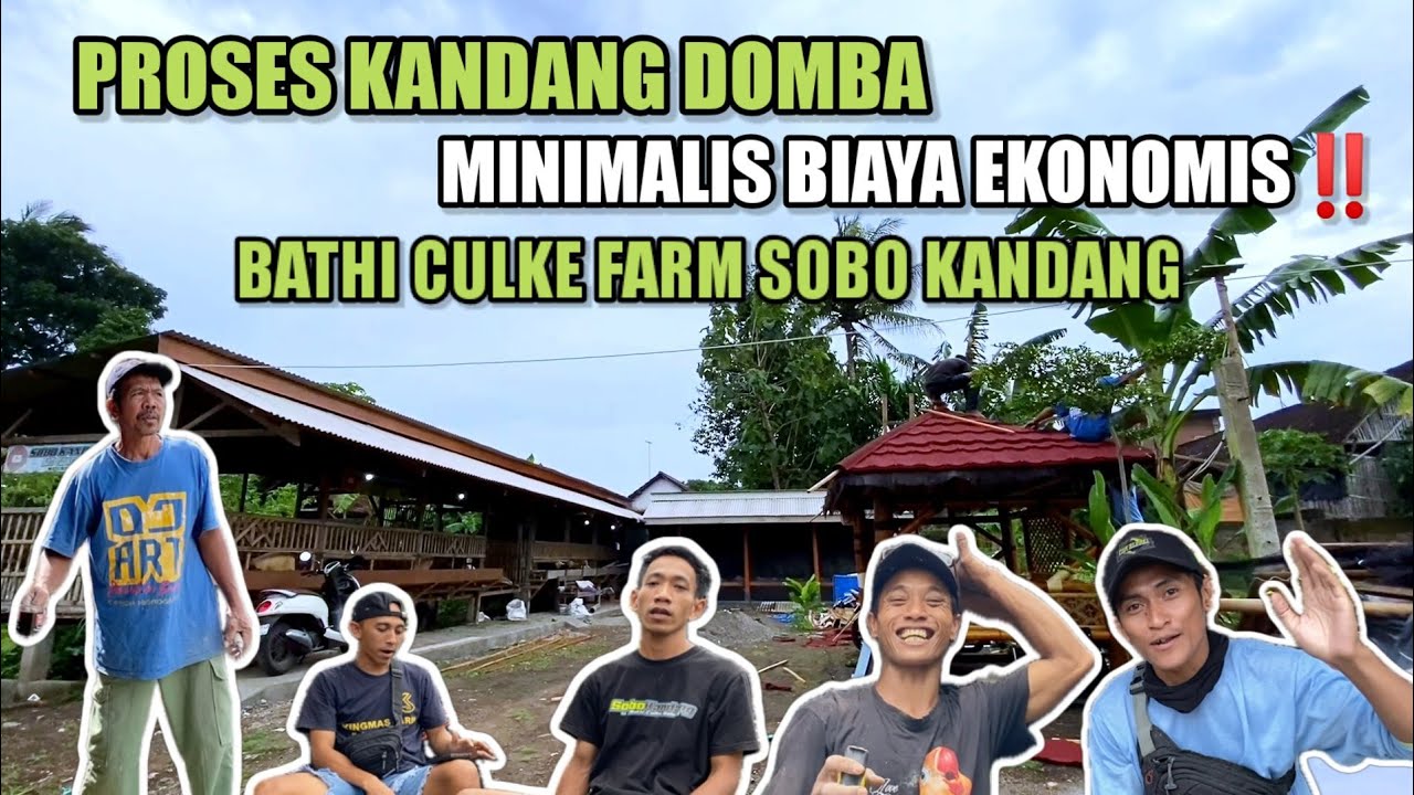 Proses pembuatan kandang domba minimalis simple murah di bathi culke farm sobo kandang blitar