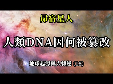 人類DNA因何被篡改《昴宿星人》地球起源與大轉變 (18)