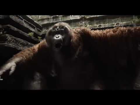 Jungle book 2012 #movie #mowgli Part 7