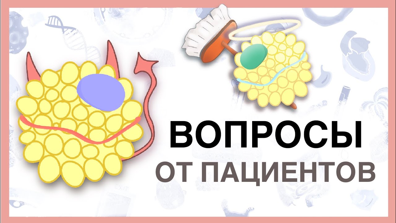 Плохой и хороший холестерин (ЛПНП и ЛПВП). - YouTube