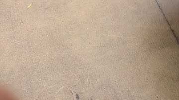 Cop harassing me for doing a speed trap warning