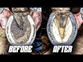 Full horse hoof restoration  4k farrier asmr satisfying