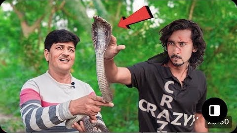 Saving a Deadly Cobra Snake | खतरनाक सांप से आमना सामना | Do Not Try