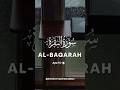 Surah Bakarah ayat 10-16 Urdu Translation....@the-divine-revelation #surahbakarah #quran