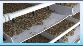 FarmTek's Fodder Tips - FodderPro 3.0 Commercial Feed System