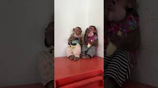 Monkey’s Happy Bite!