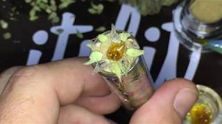 Glass Blunt Art