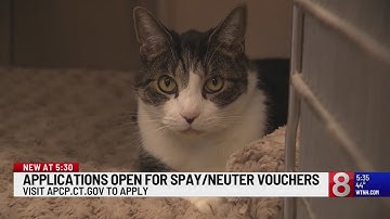 Connecticut Dept. of Agriculture accepting applications for spay-and-neuter program