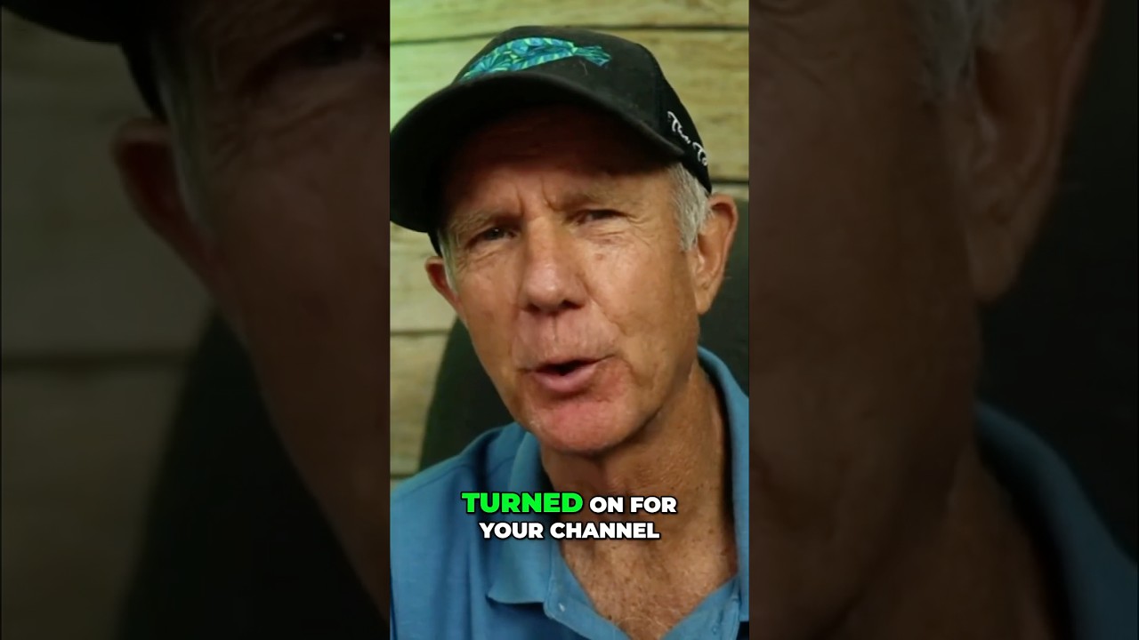 YouTube Hype: Turn on & Get Views with This Hidden Feature!