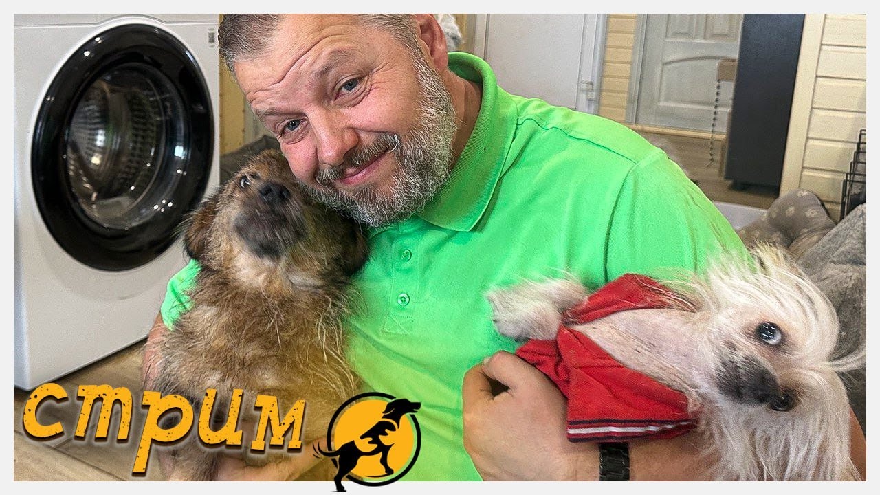 Вечерний стрим, отвечаем на ваши вопросы, делимся новостями 17.01.2026