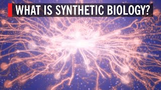 What is Synthetic Biology?