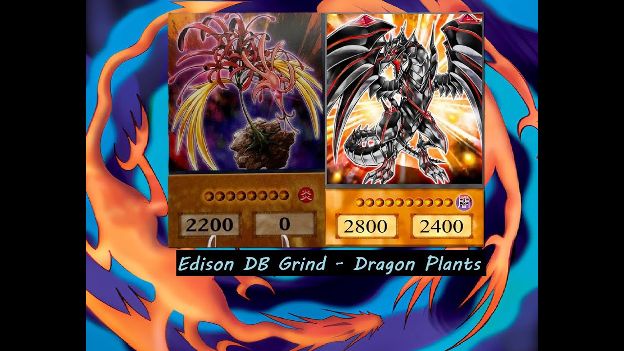 Yu-Gi-Oh! Edison DB Grind - Dragon Plants (683 Rating)