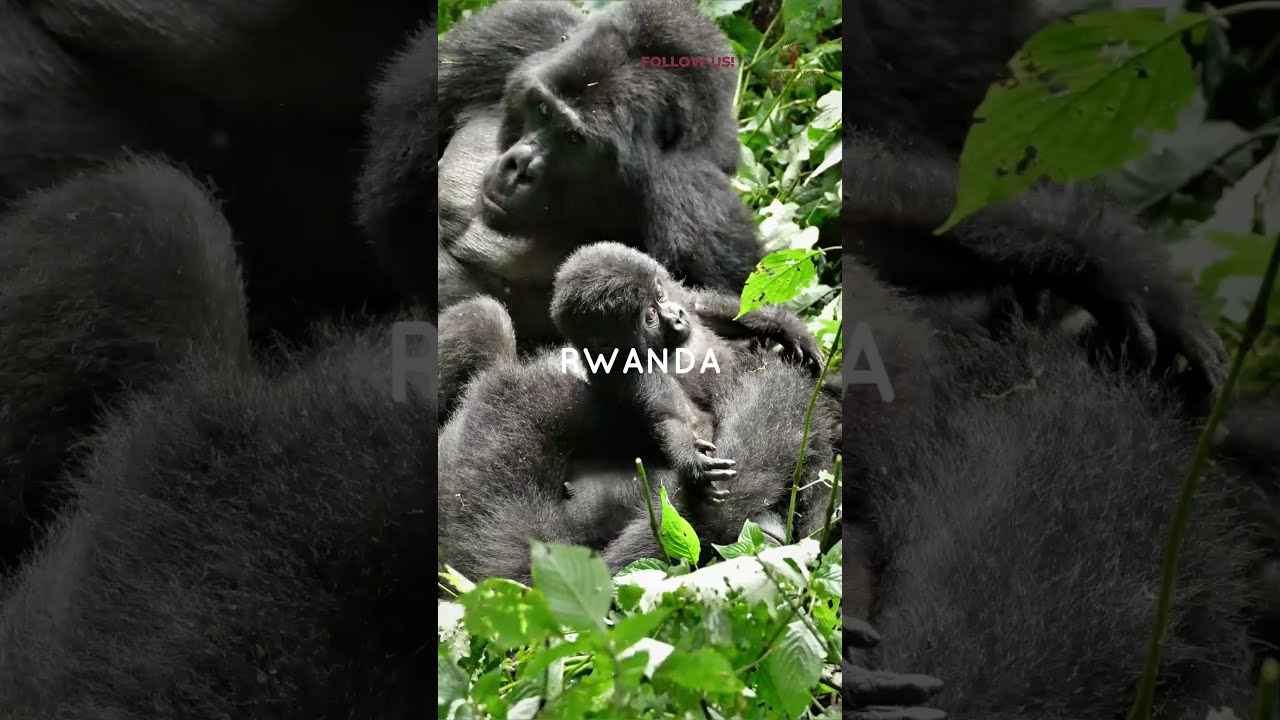 The countries that you need to visit in 2024!  