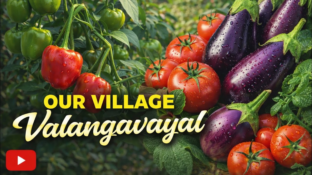 எங்க ஊரு தோட்ட காய்கறிகளோட ஒரு சிறிய பயணம்… @TNTravelBanks 