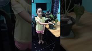 Parts of a plant and their Functions (Performance Task in Science) Profile