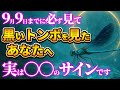 【やはり涙がこみ上げる】黒いトンボを見たあなたへ｜人生を変える優しいサイン