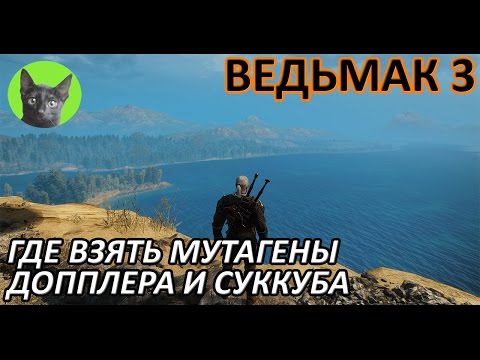 Ведьмак 3 - Вопрос-Ответ - Где взять мутагены допплера и суккуба