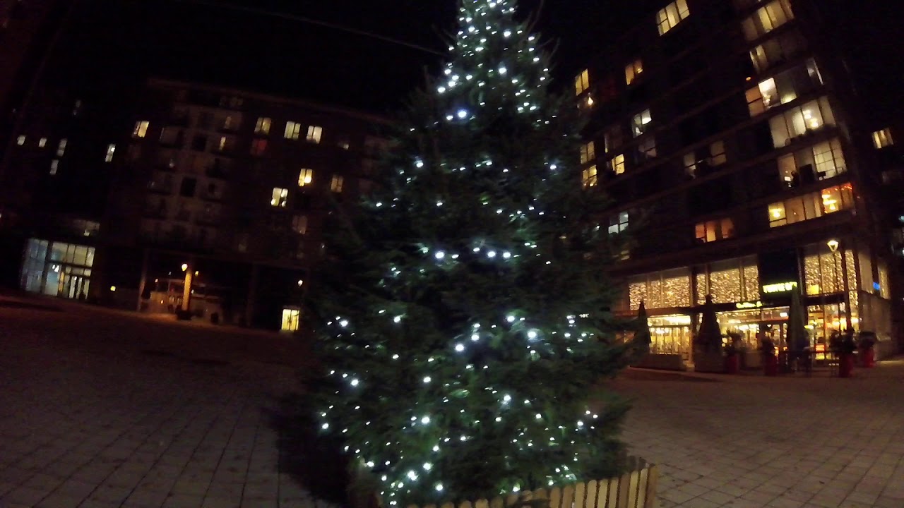 when to see a Christmas tree at the hub in milton Keynes 19/11/2020