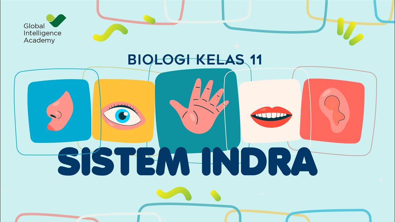 BIOLOGI Kelas 11 - Sistem Koordinasi (Sistem Indra) | GIA Academy