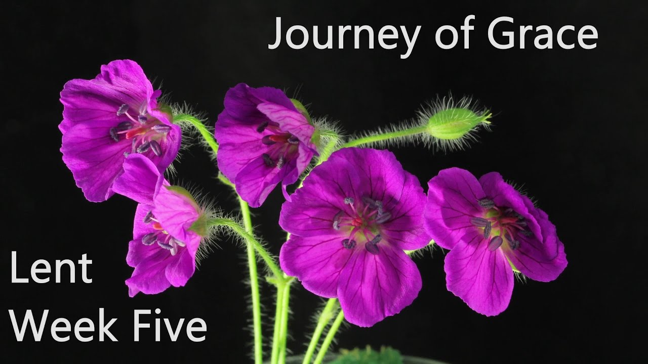 Lent Journey of Grace - Week Five Year A