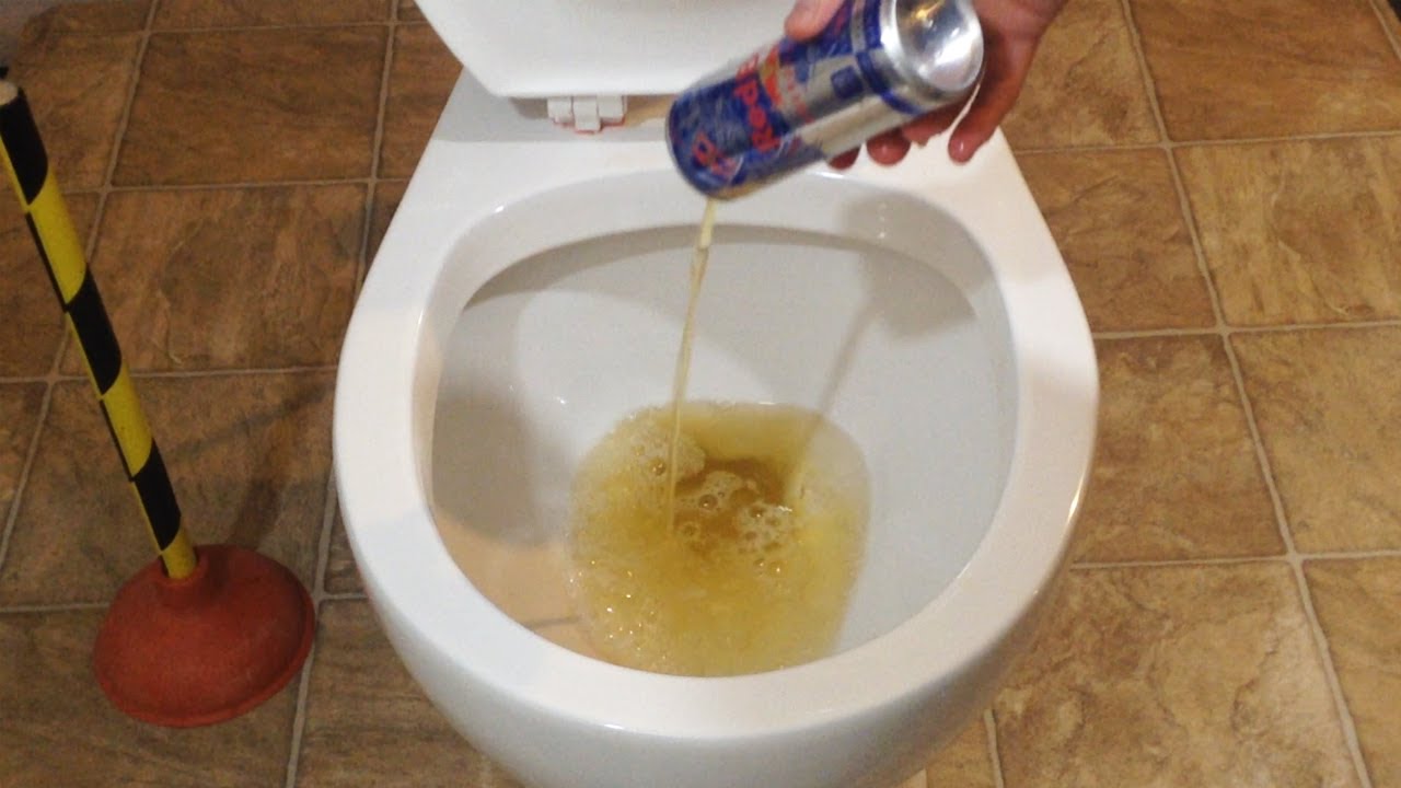 Will it Flush? Red Bull Toilet Experiment YouTube
