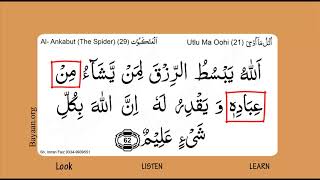 Learn Quran in English translation word by word learning,Al Ankabut  Spider,  029, Verse 062,