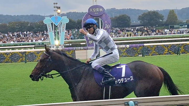 2024/10/27 東京競馬場 東京11R 天皇賞(秋) ゴール板前 1着ドウデュース