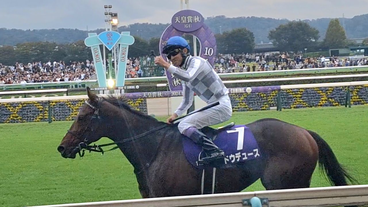 2024/10/27 東京競馬場 現地 東京11R 天皇賞(秋) ゴール板前 1着ドウデュース