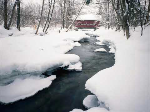 Der Lindenbaum 荒谷俊治編曲 菩提樹 メゾソプラノ Midi Youtube