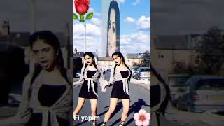 Harika Deği̇rmenci̇