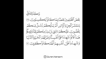 القارئ سعد الغامدي - سورة الأنعام - من الآية 129 إلى الآية 130