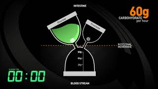 Performance Nutrition (Fueling) for Endurance Athletes - Why Fuel?