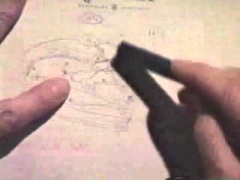 Stanford Lecture: Donald Knuth - "Trees, Forests, and Polyominoes" (2000) Episode cover