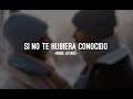 Si no te hubiera conocido - Irene Jotadé